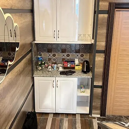 Demosan ヒルデン