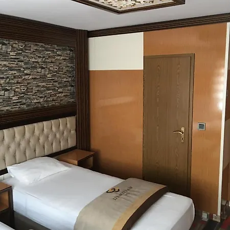 Hotel Demosan *