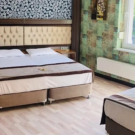 Demosan 3* ヒルデン