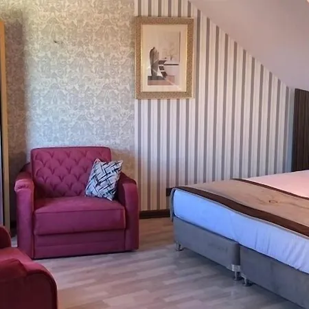 Demosan 호텔 3*