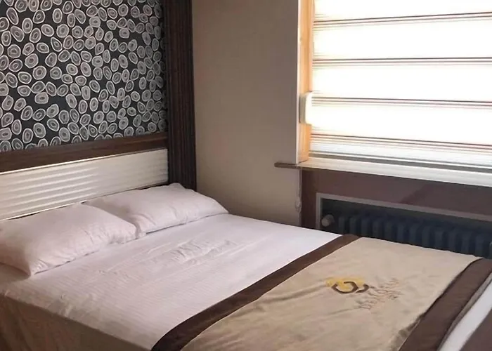 Demosan فندق هيلدن